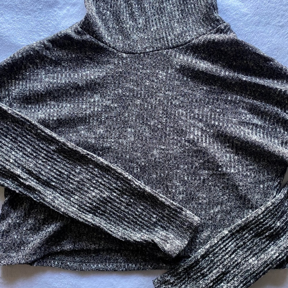 Crop Top Turtleneck